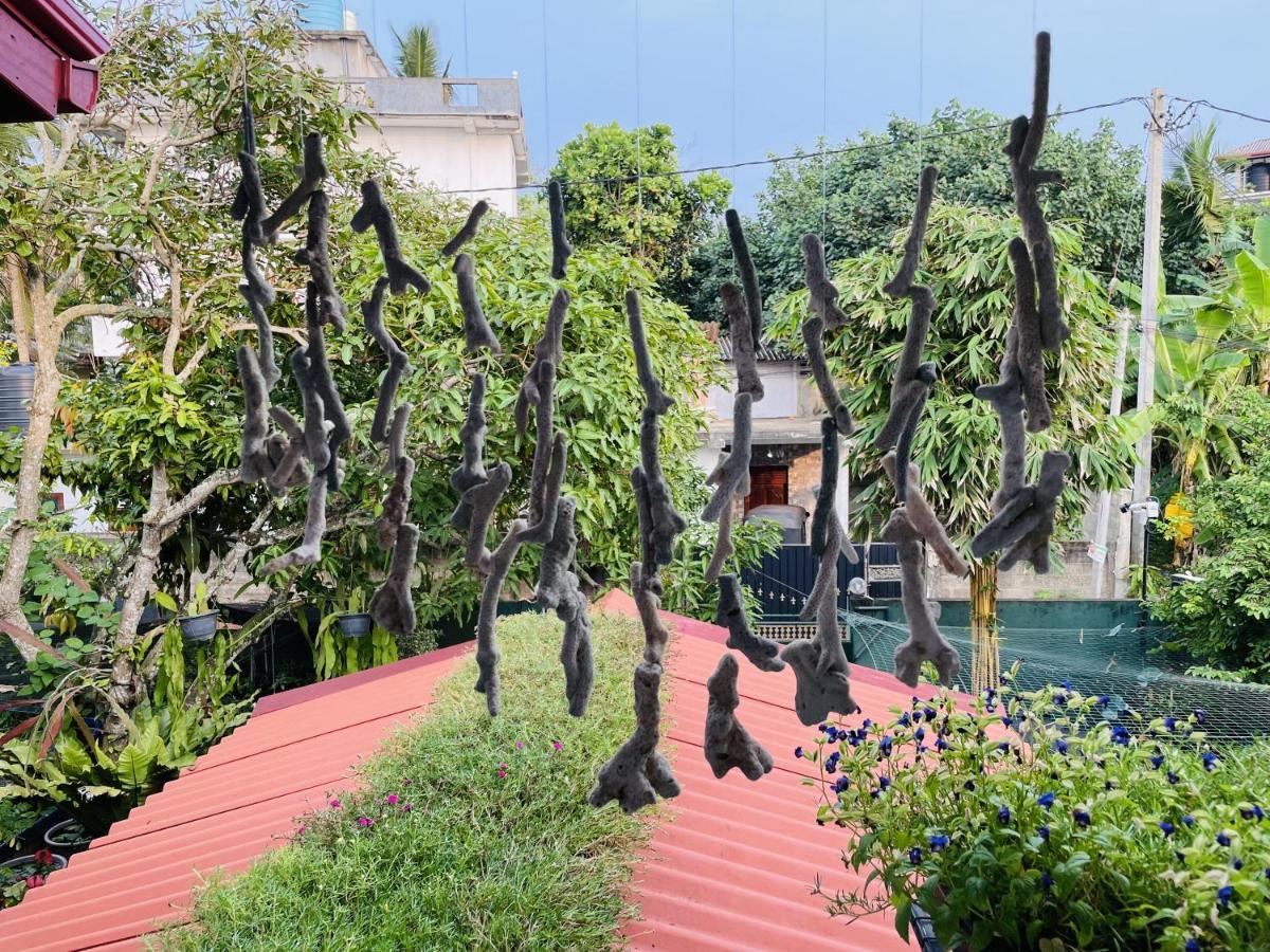 Kanthi Holiday Rest Homestay ミリッサ エクステリア 写真