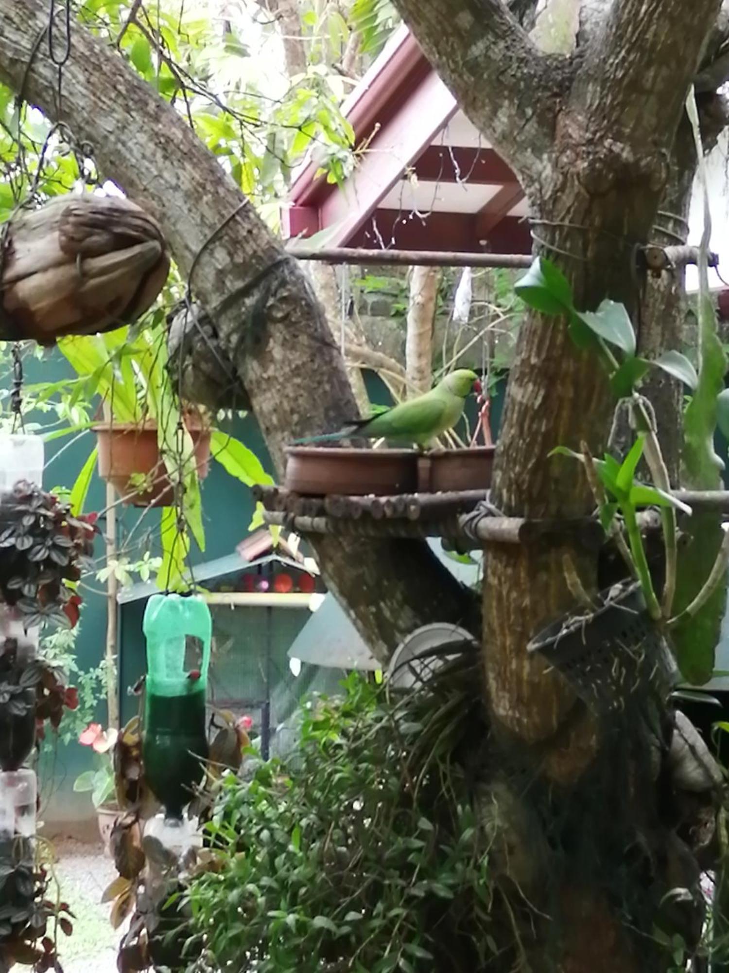 Kanthi Holiday Rest Homestay ミリッサ エクステリア 写真
