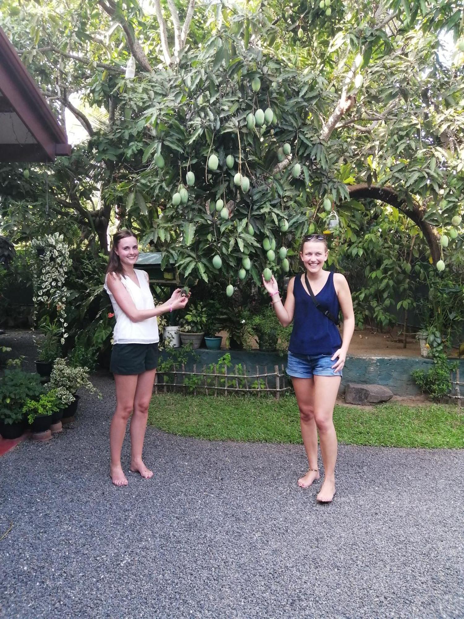Kanthi Holiday Rest Homestay ミリッサ エクステリア 写真