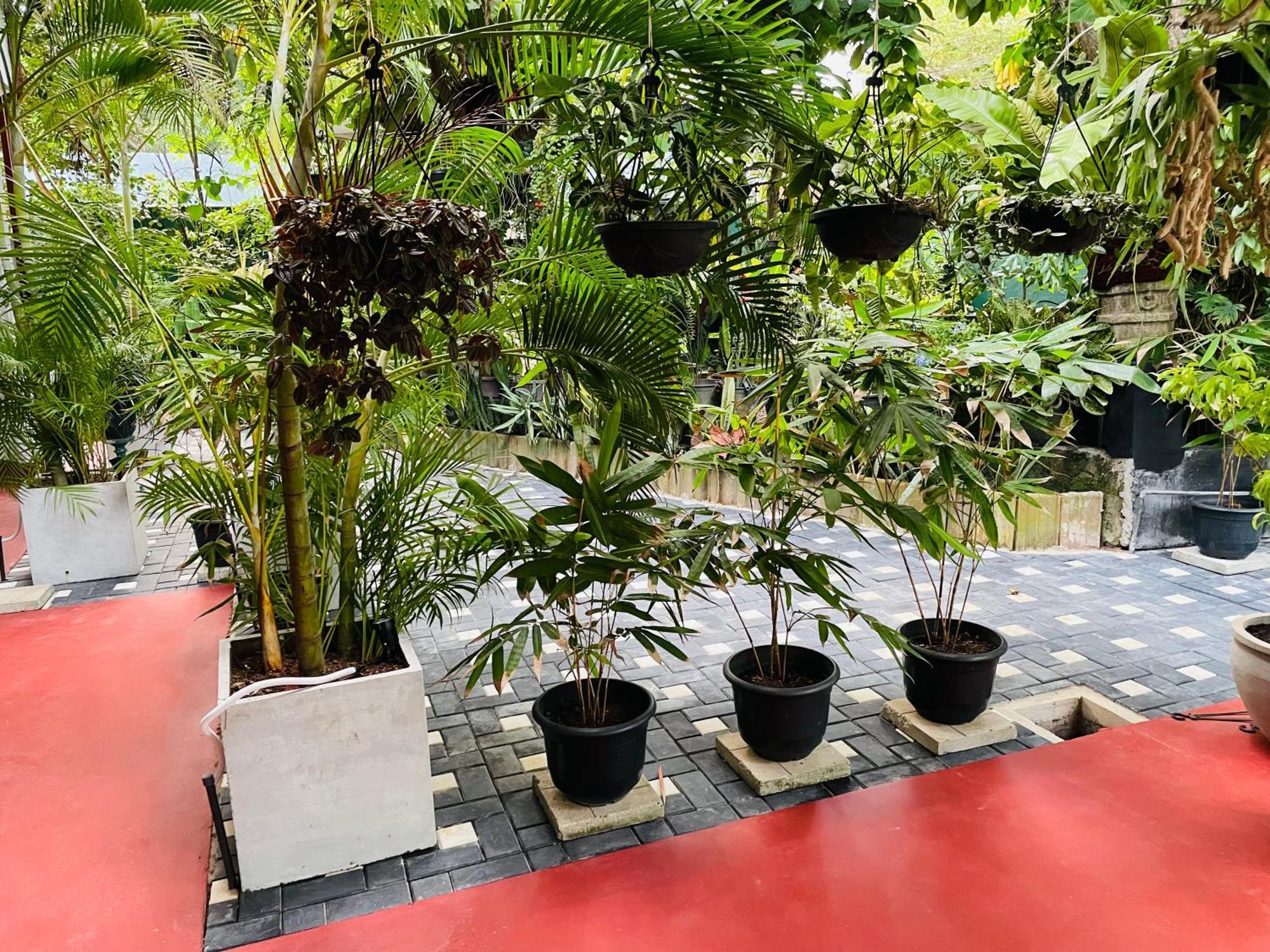 Kanthi Holiday Rest Homestay ミリッサ エクステリア 写真